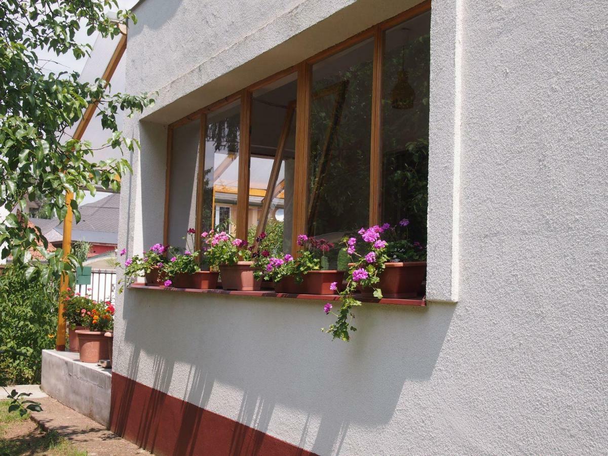 Deel Apartman Nyiregyhaza Exterior photo